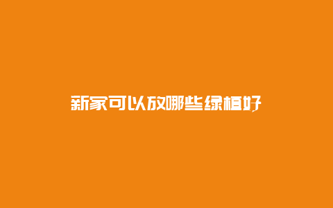 新家可以放哪些绿植好