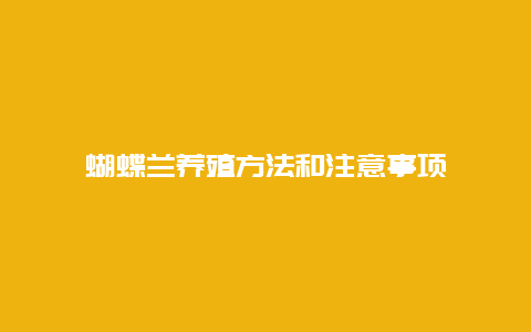 蝴蝶兰养殖方法和注意事项