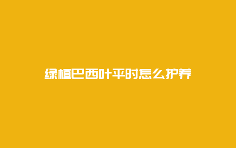 绿植巴西叶平时怎么护养