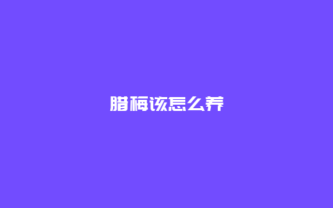 腊梅该怎么养