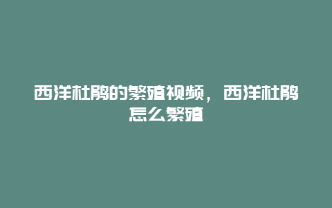 西洋杜鹃的繁殖视频，西洋杜鹃怎么繁殖