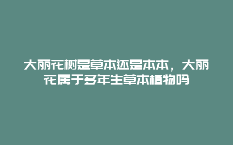 大丽花树是草本还是本本，大丽花属于多年生草本植物吗