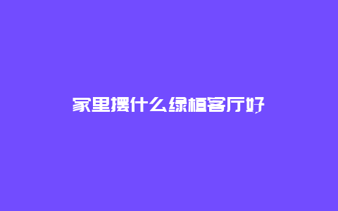 家里摆什么绿植客厅好