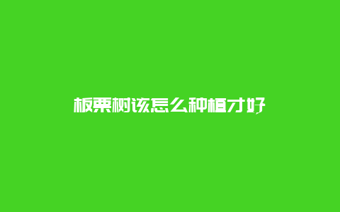 板栗树该怎么种植才好