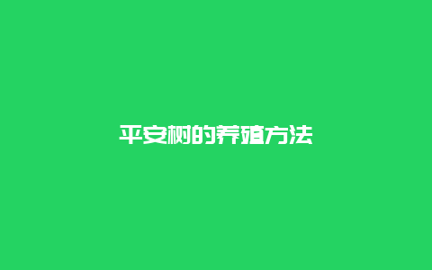 平安树的养殖方法