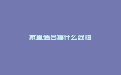 家里适合摆什么绿植