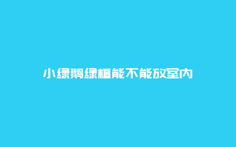 小绿鹅绿植能不能放室内