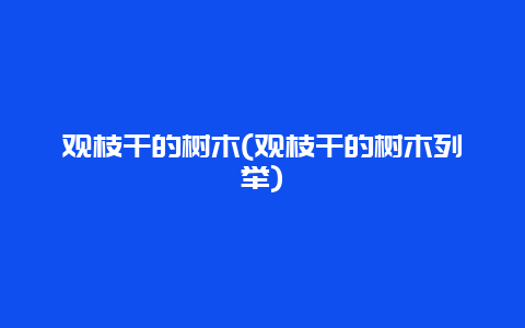 观枝干的树木(观枝干的树木列举)