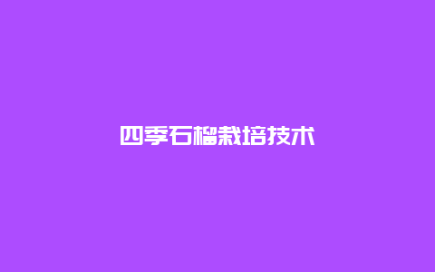 四季石榴栽培技术