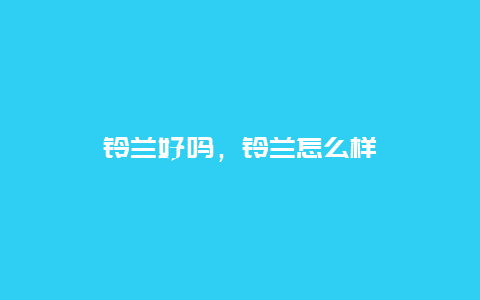 铃兰好吗，铃兰怎么样