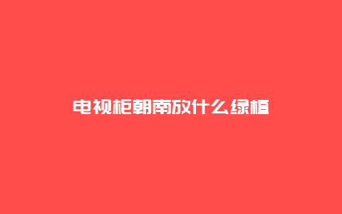 电视柜朝南放什么绿植