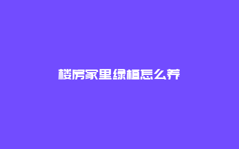 楼房家里绿植怎么养