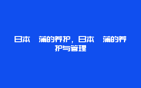 日本菖蒲的养护，日本菖蒲的养护与管理