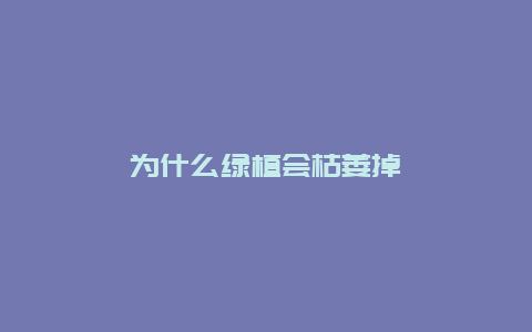 为什么绿植会枯萎掉