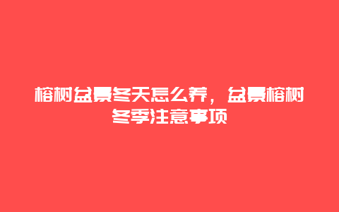 榕树盆景冬天怎么养，盆景榕树冬季注意事项