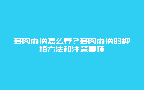 多肉雨滴怎么养？多肉雨滴的种植方法和注意事项