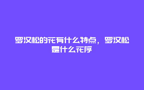 罗汉松的花有什么特点，罗汉松是什么花序