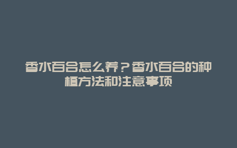 香水百合怎么养？香水百合的种植方法和注意事项