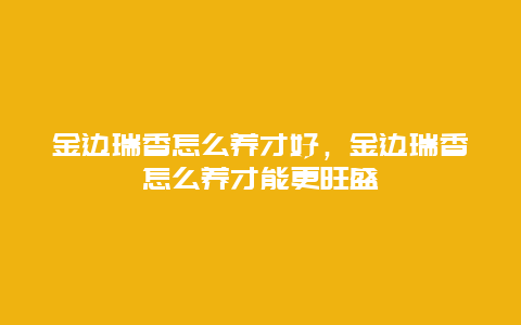 金边瑞香怎么养才好，金边瑞香怎么养才能更旺盛