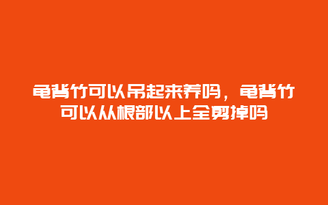 龟背竹可以吊起来养吗，龟背竹可以从根部以上全剪掉吗