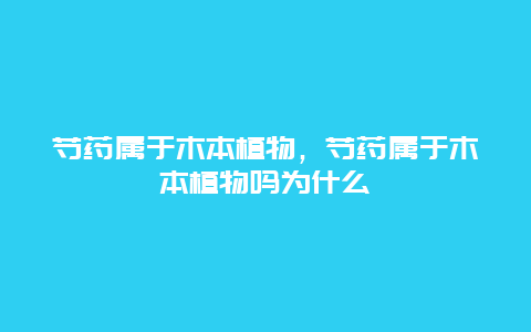 芍药属于木本植物，芍药属于木本植物吗为什么