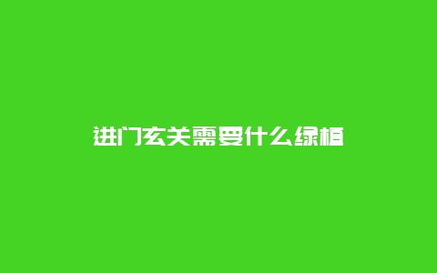 进门玄关需要什么绿植