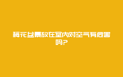 梅花盆景放在室内对空气有危害吗?