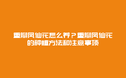 重瓣凤仙花怎么养？重瓣凤仙花的种植方法和注意事项