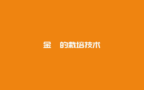 金桔的栽培技术