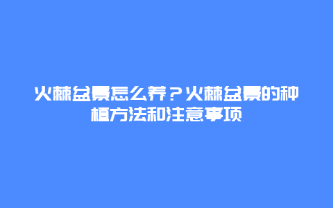 火棘盆景怎么养？火棘盆景的种植方法和注意事项