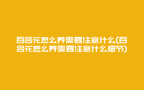 百合花怎么养需要注意什么(百合花怎么养需要注意什么细节)