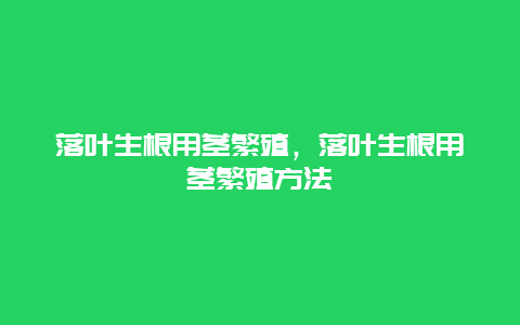 落叶生根用茎繁殖，落叶生根用茎繁殖方法