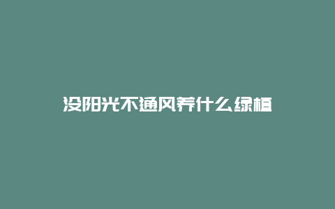 没阳光不通风养什么绿植