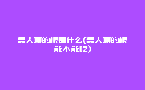 美人蕉的根是什么(美人蕉的根能不能吃)