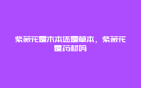 紫薇花是木本还是草本，紫薇花是药材吗