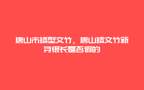 唐山市矮型文竹，唐山矮文竹新芽很长是否假的