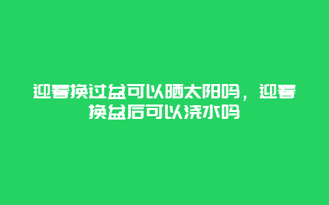 迎春换过盆可以晒太阳吗，迎春换盆后可以浇水吗