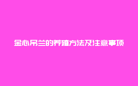 金心吊兰的养殖方法及注意事项