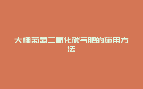 大棚葡萄二氧化碳气肥的施用方法