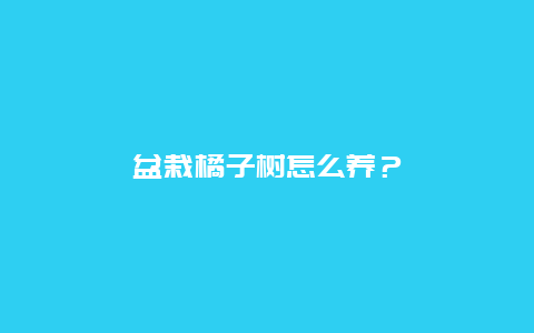 盆栽橘子树怎么养？