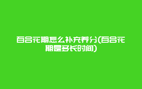 百合花期怎么补充养分(百合花期是多长时间)