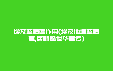 埃及蓝睡莲作用(埃及池塘蓝睡莲,唐朝盛世华夏传)