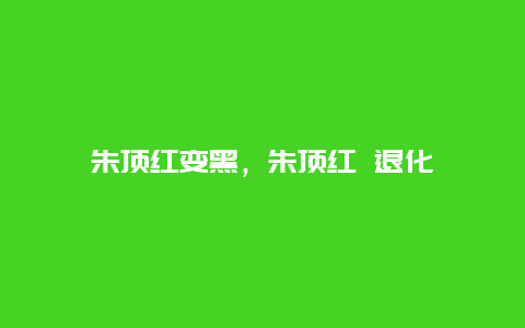 朱顶红变黑，朱顶红 退化