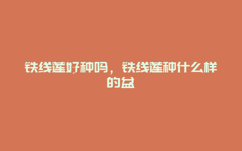 铁线莲好种吗，铁线莲种什么样的盆