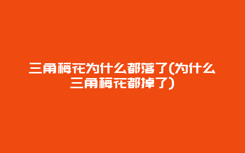 三角梅花为什么都落了(为什么三角梅花都掉了)