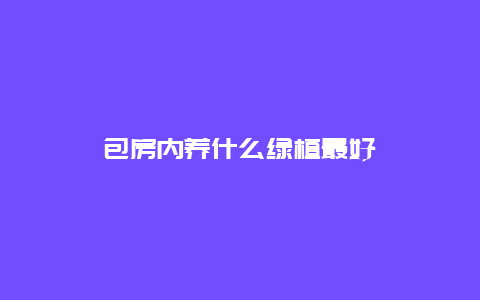 包房内养什么绿植最好