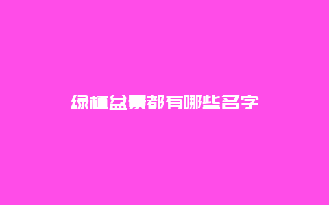 绿植盆景都有哪些名字