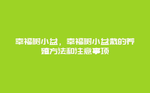 幸福树小盆，幸福树小盆栽的养殖方法和注意事项