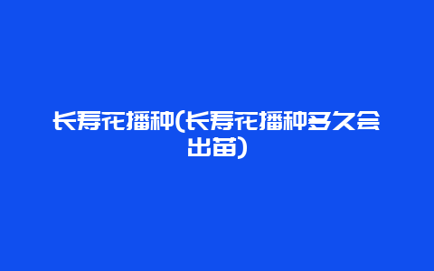 长寿花播种(长寿花播种多久会出苗)