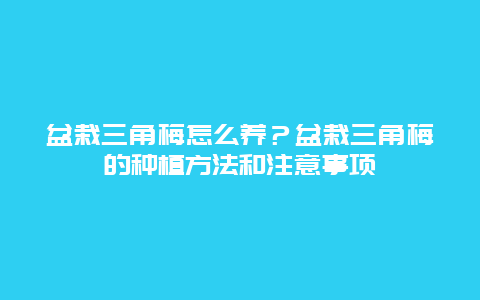 盆栽三角梅怎么养？盆栽三角梅的种植方法和注意事项